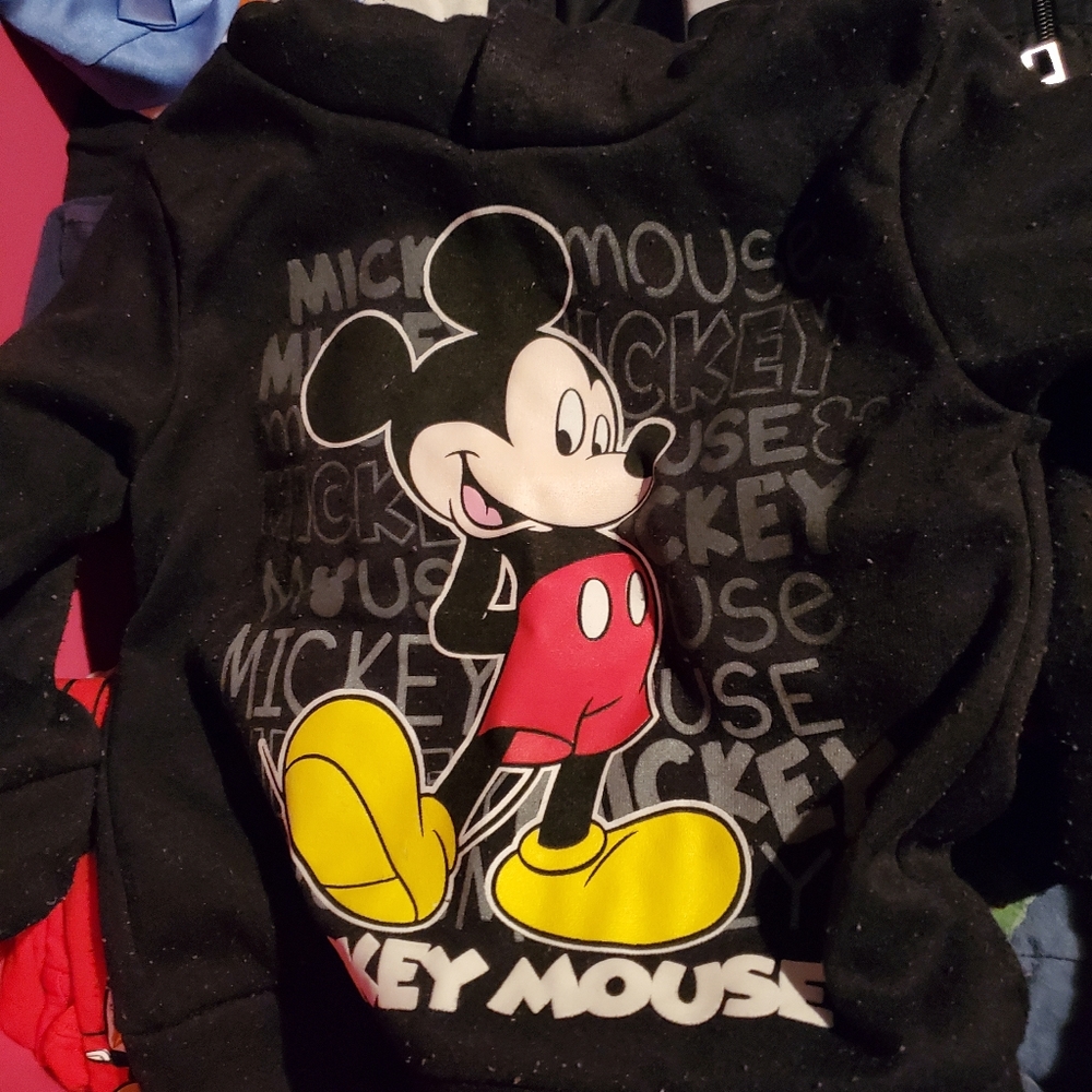 Mickey hoodie